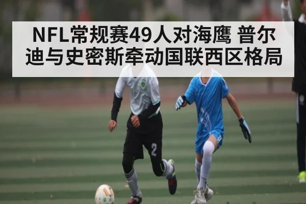 NFL常规赛49人对海鹰 普尔迪与史密斯牵动国联西区格局 | Anbo Sports